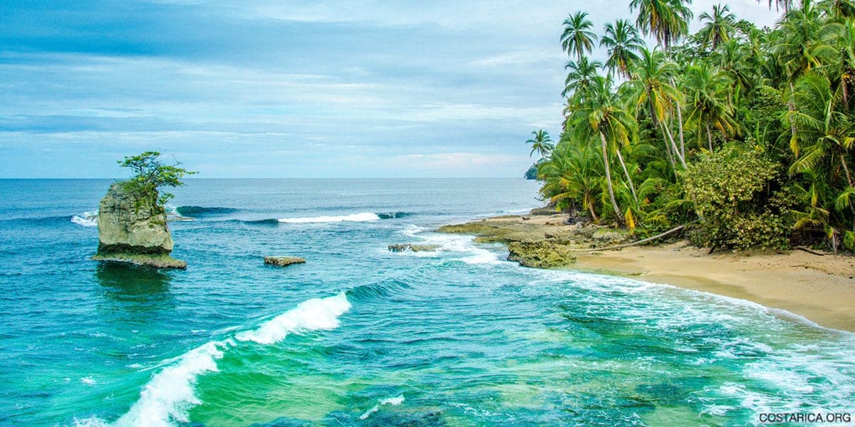 Palm trees and a rock island on the Southern Caribbean coast