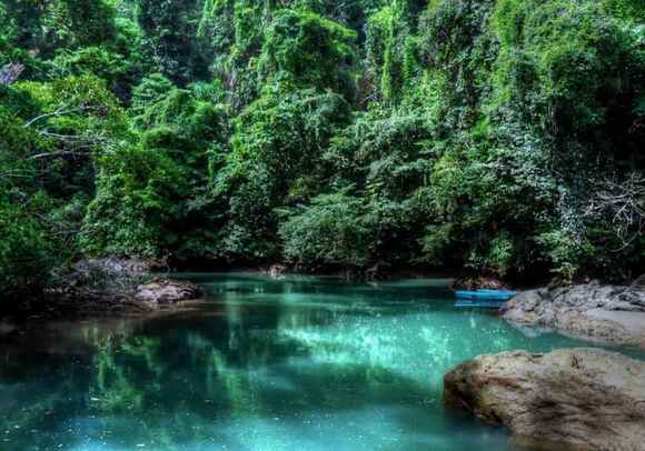 A clear turquoise river running through dense rainforest